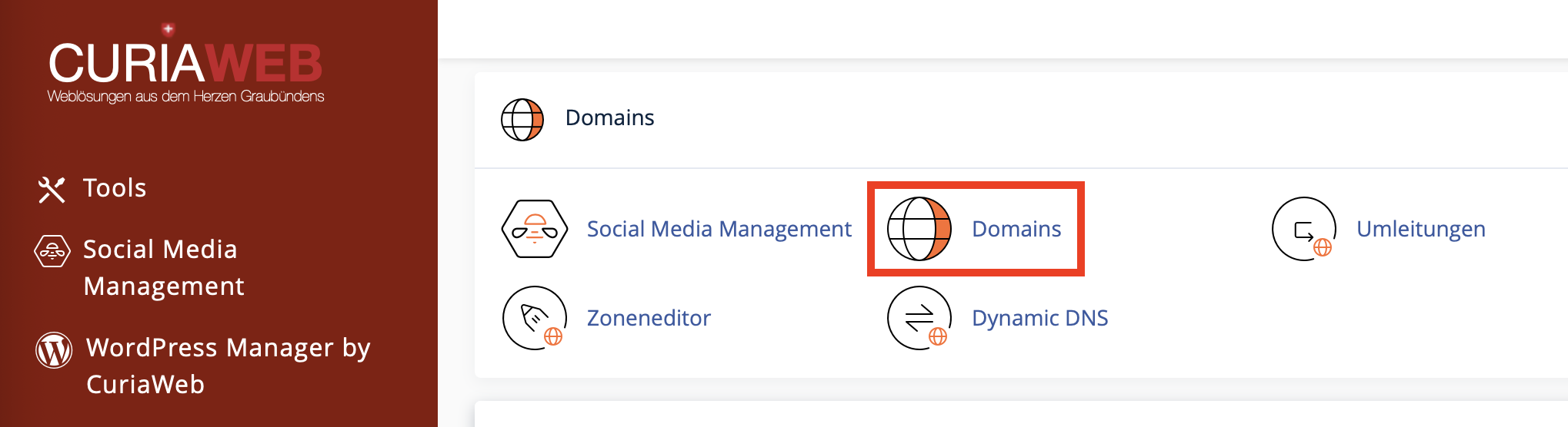 cPanel Domains