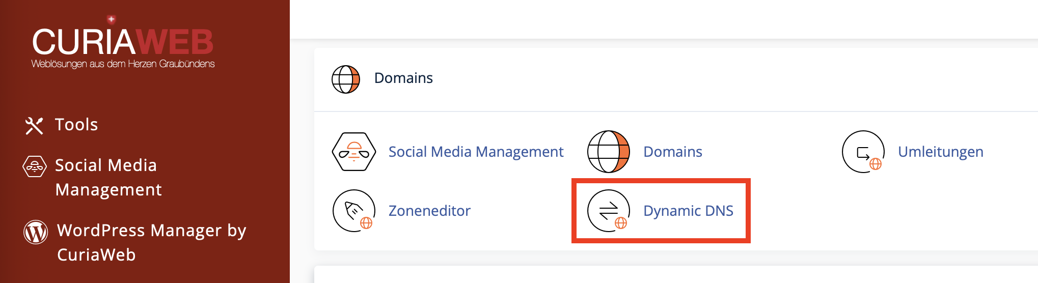 cPanel Dynamic DNS